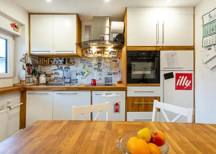 Michoart Ostanak kod kuće