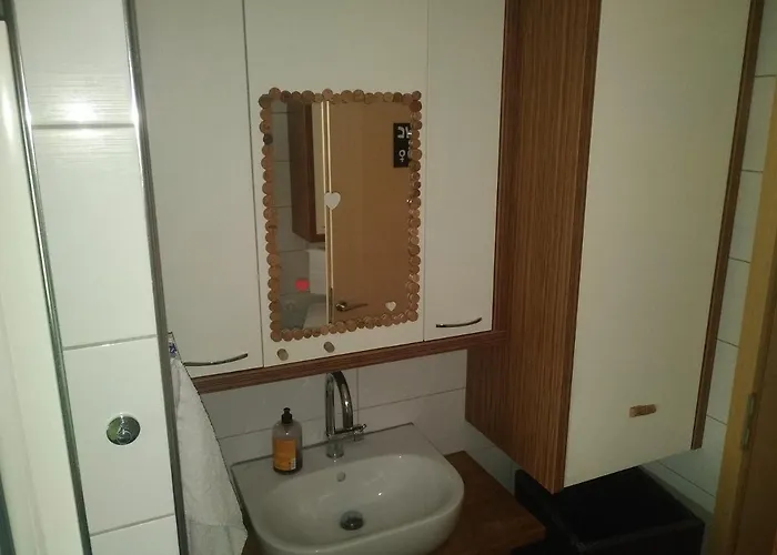 Michoart Ostanak kod kuće