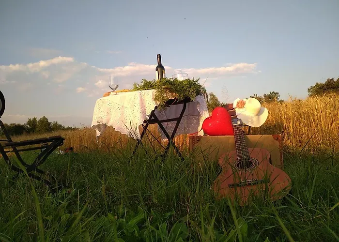 Ostanak kod kuće Michoart