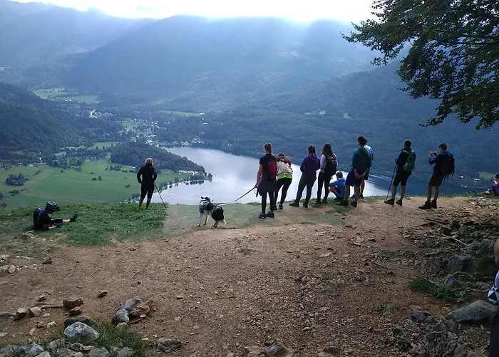 Проживання в сім'ї Michoart Любляна